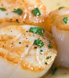 products-scallop