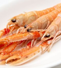 Langoustine