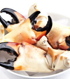 crab claws