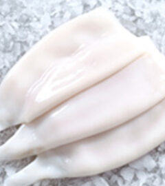 squid-tubes squid-tubes